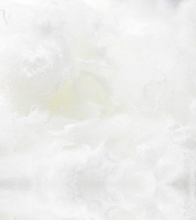 优可丝EcoCosy